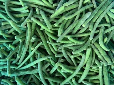 Légumes Greencan Haricots verts IQF Haricots verts coupés surgelés