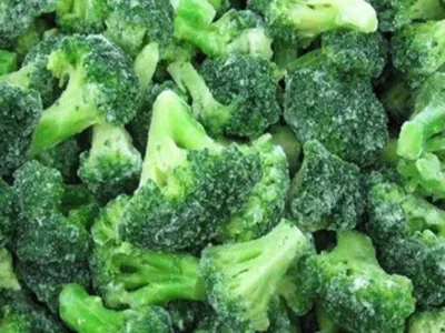 Brocoli IQF Frzoen Brocoli Légumes surgelés de haute qualité