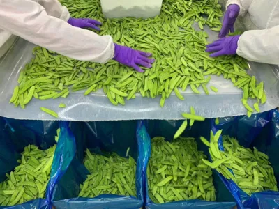 Pod de pois surgelés IQF de haute qualité/pois mange-tout OEM avec prix d'usine